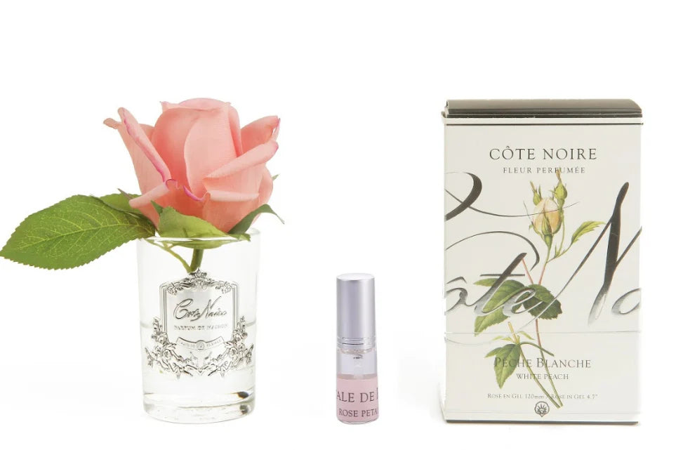 Cote Noire Perfumed Natural Touch Rose Bud - Clear - Peach - GMR45 Cote Noire Perfumed Natural Touch Rose Bud - Clear - Peach - GMR45